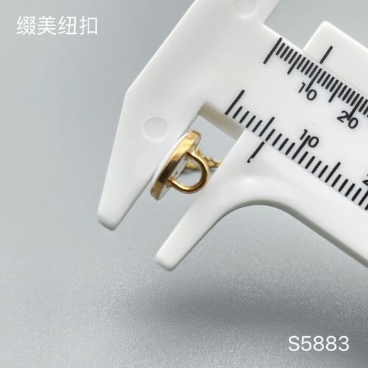 S5883(整包购买) 商品图6