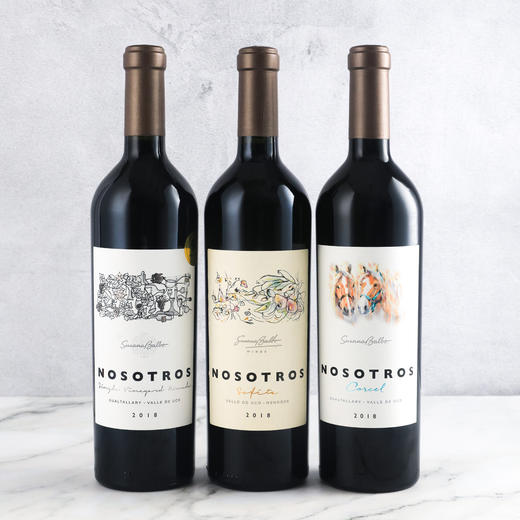 【限定3瓶装】 苏珊娜巴博索特干红葡萄酒 Nosotros Malbec 2018年份 阿根廷 商品图0