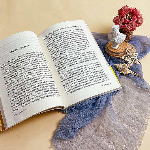 重建教师的精神宇宙 大夏书系 李政涛力作 商品图4