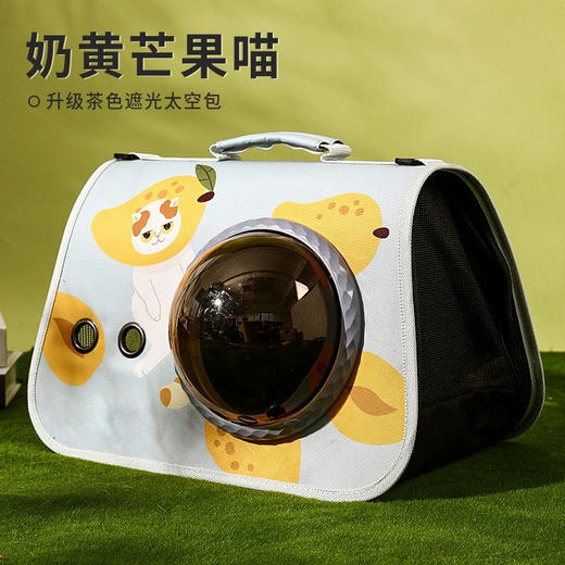 新款印花双肩手提猫包 可折叠大容量高颜值 太空舱背包 商品图4