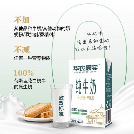 华农纯牛奶（8盒装）250ml*8 商品图2