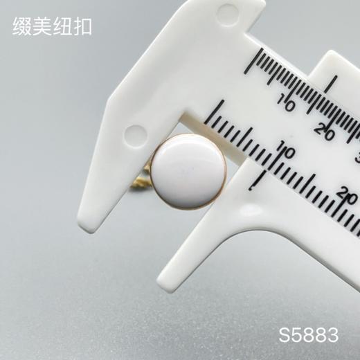 S5883(整包购买) 商品图5