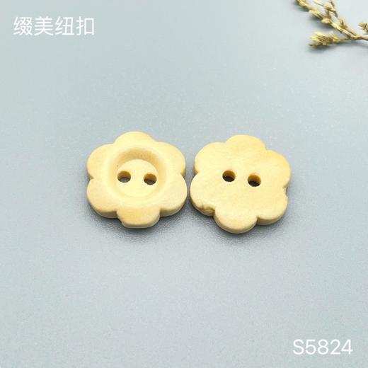 S5824(整包购买) 商品图1