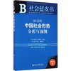 2015年中国社会形势分析与预测 商品缩略图0