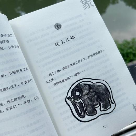 《大象池塘》 商品图3