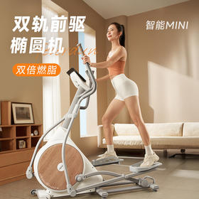飞尔顿椭圆机家用太空漫步机健身房器材运动小型静音椭圆仪送静音垫