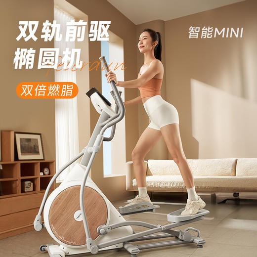 飞尔顿椭圆机家用太空漫步机健身房器材运动小型静音椭圆仪送静音垫 商品图0