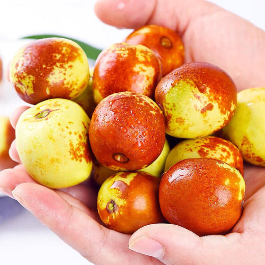 【陕西大荔冬枣】👑水果界VC✅自然熟，不早采✅核小肉厚，不卡嗓，一口下去脆爽化渣✅高标准种植，带0农残检测证书 ✅五星产地！品质甄选！新鲜配送！ 商品图0