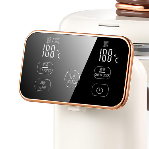 大宇电热开水瓶DYSP-25F01 商品图1