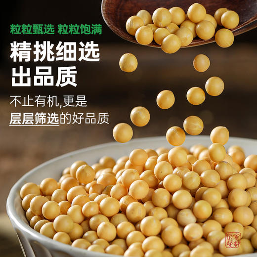 有机黄豆非转基因东北有机种植当季大豆打豆浆专用五谷杂粮粗粮350g 商品图3