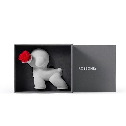 【守爱狗】ROSEONLY诺誓永生玫瑰守爱狗公仔 红色 守爱狗 永生花  送朋友送爱人 商品图5