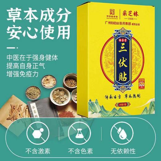 【买2送1】白云山三伏贴药贴夏季祛湿艾灸贴儿童保健穴位贴艾草三伏贴30贴/盒+赠穴位图 商品图1