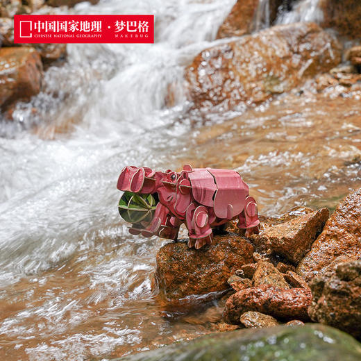 博物文创 为自然发声系列立体拼插纸模之动物园 绿孔雀河马非洲狮东北虎亚洲象 商品图3