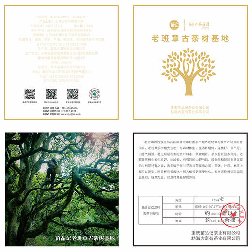 2022年老班章古树茶       （50克陶罐） 商品图3