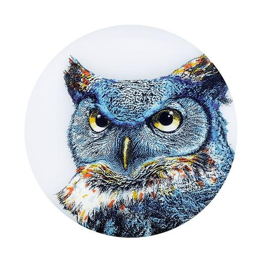 Waboba 夜行者发光硅胶软飞盘 商品图1