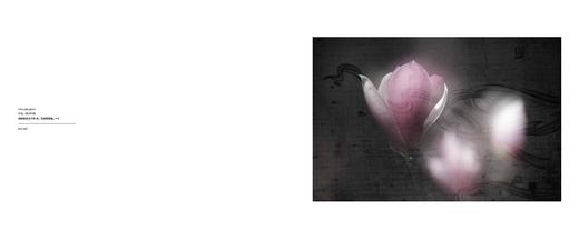 《幻境碎影2016》黄昆摄影作品集 商品图5