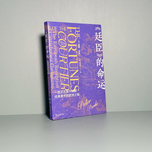 《廷臣》的命运：一部文艺复兴时期经典著作的欧洲之旅 彼得·伯克PeterBurke；闵凡祥[译] 北京大学出版社 商品图2