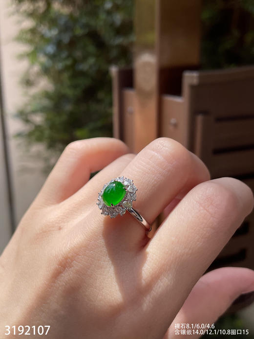 3192107，老坑高冰艳绿蛋面戒指。具体价格微信咨询 商品图2