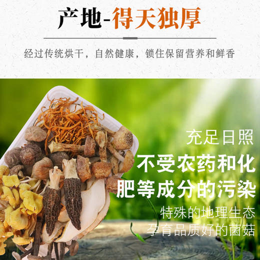 kmt在菌屋 羊肚菌拾菌汤包 七彩汤包菌菇汤料包70g*2袋 商品图5