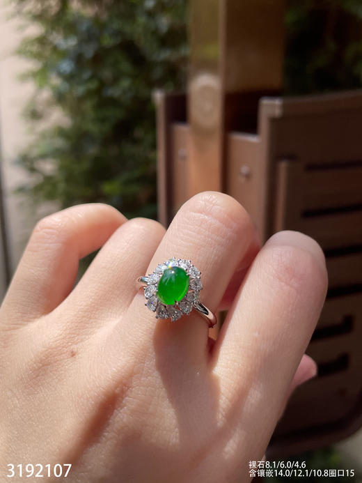 3192107，老坑高冰艳绿蛋面戒指。具体价格微信咨询 商品图0