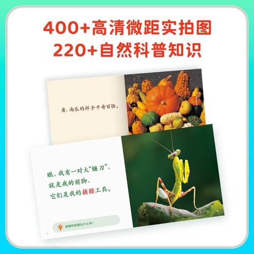 【一亩宝盒 官方正版】我爱大自然 商品图5