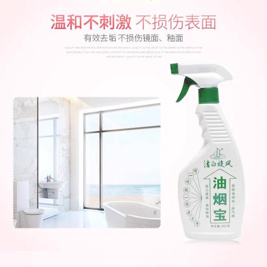 洁白旋风油烟宝 550g/瓶 商品图2