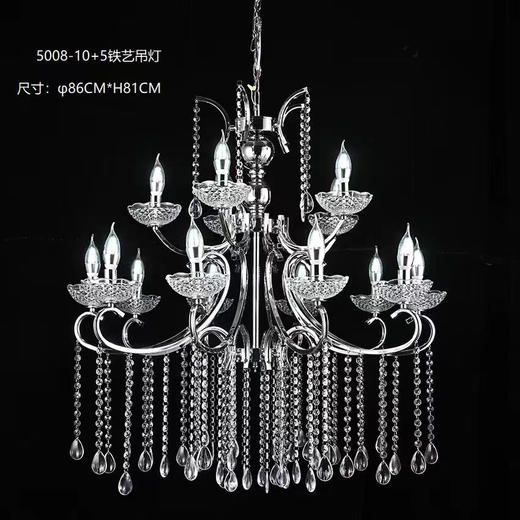 5008-10+5铁艺吊灯【运费自理】 商品图0
