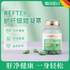 【德国原装进口】REFTER洛夫特牌姜黄水飞蓟凝萃 40粒/瓶 商品缩略图0