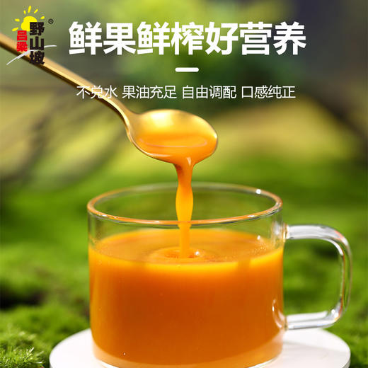 沙棘原浆20ml*15袋 商品图2