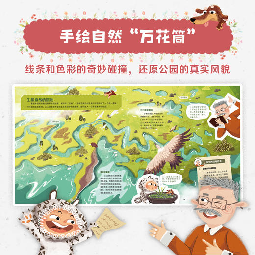 【图书】《去看看，我们的国家公园》| 清新细腻的画风、真实还原的场景，让孩子身临其境般走进自然，体验一堂精彩生动的科学课。7岁+ 商品图9