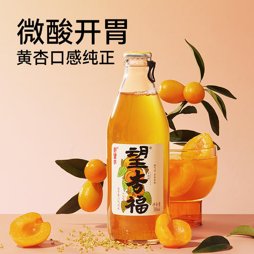 望杏福300ml*6瓶 商品图2