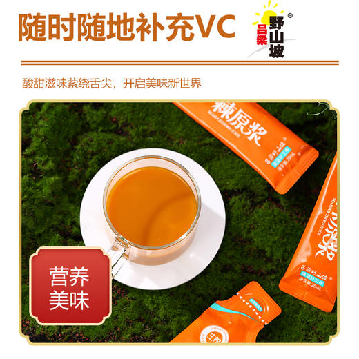 沙棘原浆20ml*15袋 商品图1