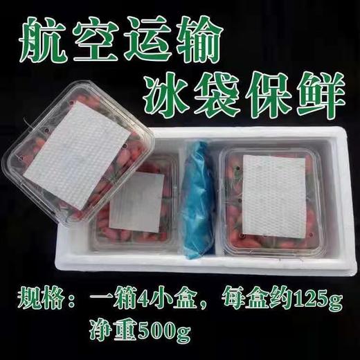 青海柴达木新鲜枸杞 只卖七八月的鲜果枸杞 顺丰冷链包邮 125g/盒*4盒/份 商品图14