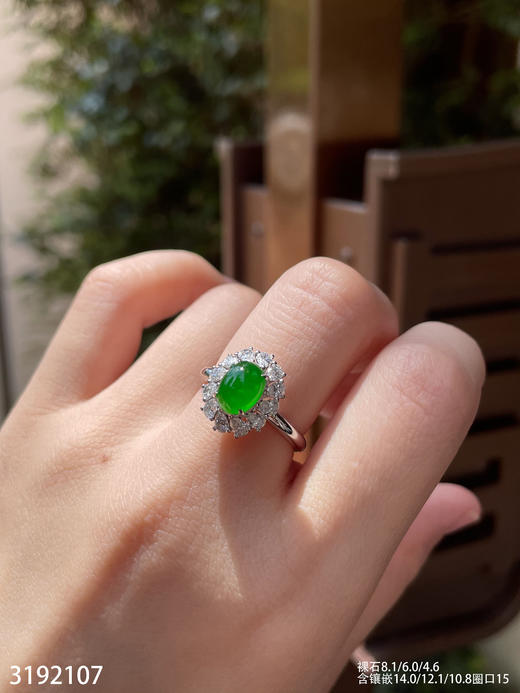 3192107，老坑高冰艳绿蛋面戒指。具体价格微信咨询 商品图3