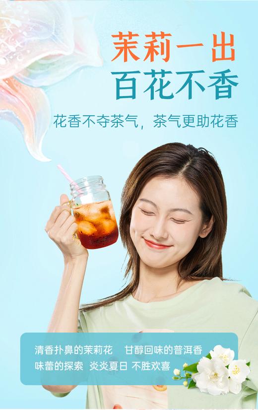 【新品】帝泊洱即溶普洱茶珍茉莉普洱速溶茶正品包邮 商品图0