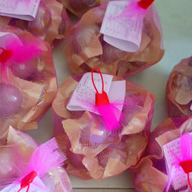 【9.9元/兜】南四湖兜装烤鸡蛋9枚装（0804711）