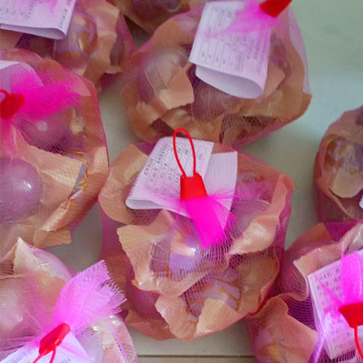 【9.9元/兜】南四湖兜装烤鸡蛋9枚装（0804711） 商品图0