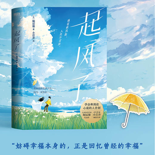 起风了 商品图0