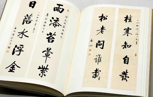 《启功法书/启功绘画》，启功先生 作，8开布面精装，二册，共780页，净重10斤左右，北京师范大学出版社2012年一版一印。定价3200，售价958元。 商品图7