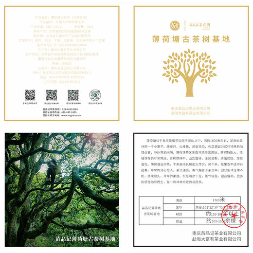 2022年薄荷塘古树茶       （50克陶罐） 商品图3