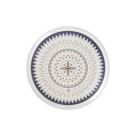 挪客（NatureHike）露营标准飞盘 户外游玩团建运动