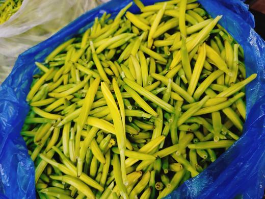 黄花菜一斤 商品图1