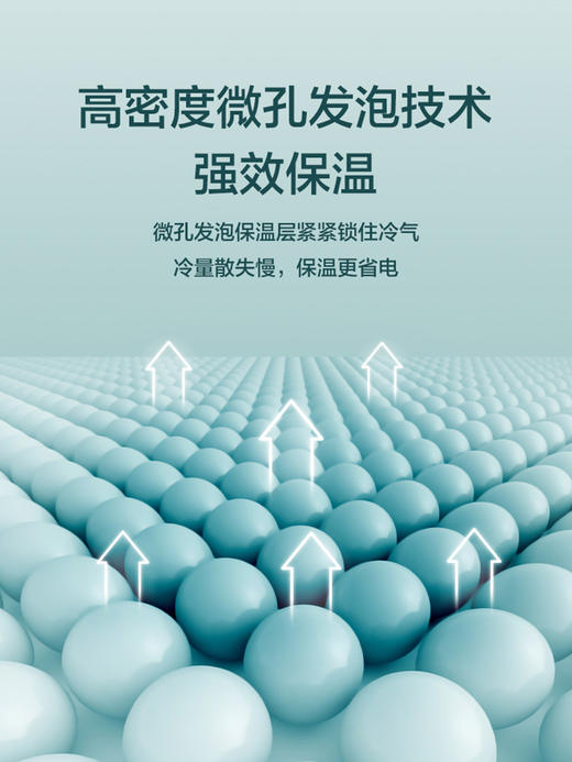 【会员日专用】格兰仕电冰箱\BCD-250WE 商品图3