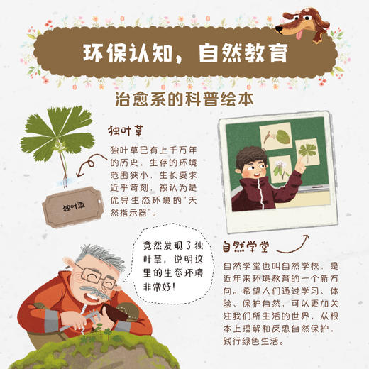 【图书】《去看看，我们的国家公园》| 清新细腻的画风、真实还原的场景，让孩子身临其境般走进自然，体验一堂精彩生动的科学课。7岁+ 商品图12