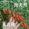 青海柴达木新鲜枸杞 只卖七八月的鲜果枸杞 顺丰冷链包邮 125g/盒*4盒/份 商品缩略图9