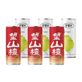 望山楂3罐+望柠檬3（330ml)