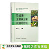 马铃薯主要病虫害识别与防治【中国农业出版社官方正版】 商品缩略图0