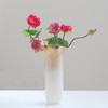 北欧轻奢创意渐变手工波浪口花瓶餐桌电视柜家居软装装饰白菜花瓶 商品缩略图7