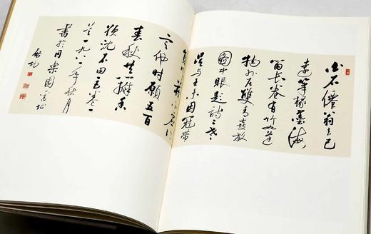 《启功法书/启功绘画》，启功先生 作，8开布面精装，二册，共780页，净重10斤左右，北京师范大学出版社2012年一版一印。定价3200，售价958元。 商品图5