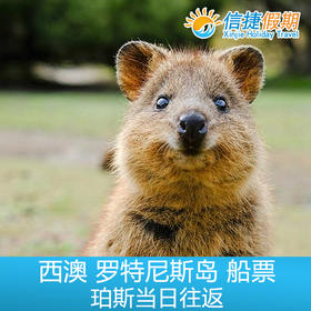 罗特尼斯岛 | 邂逅短尾矮袋鼠